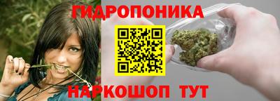 индика Канаш