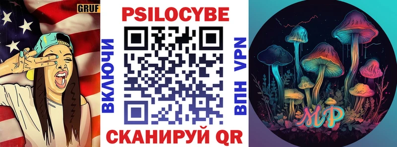 где найти   Мелеуз  Псилоцибиновые грибы Psilocybe 