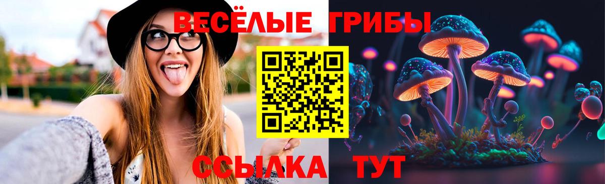 Псилоцибиновые грибы Psilocybe  где купить   Мелеуз  Вход с VPN  Псилоцибиновые грибы Magic Shrooms 